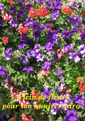 Joyeux anniversaire en fleurs &eacute;clatantes